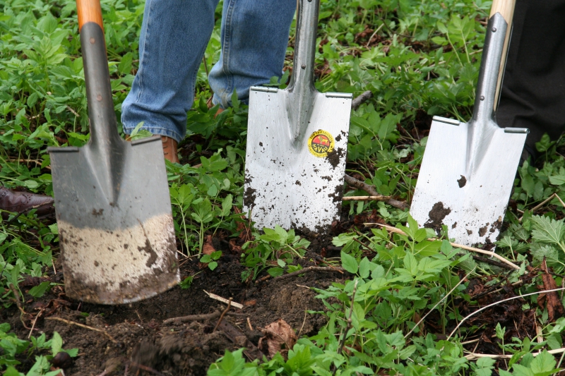 pepiniere-CAP D AIL-min_work-lawn-flower-tool-green-backyard-1103633-pxhere.com